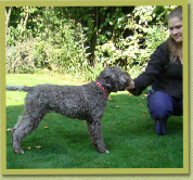 Neeltje (kennel Casa La Vita) met Pancho