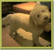 Ain't he sweet?