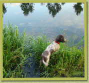 Natane seconds before her swim