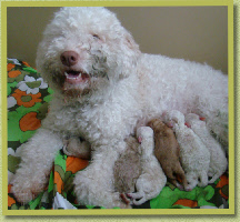 Natane & babies
