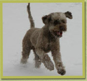 Al een winter eerder