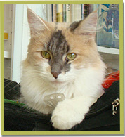 Asana's Sumaq Iskay 5 sept 2012