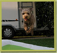 Orso heeft weer reuze pret