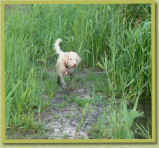 Seconds before her mud bath