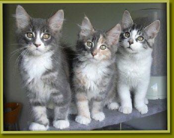 Isa , Idette & Iskander