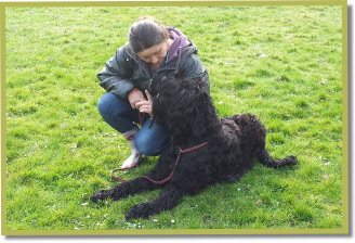 B renda met een van haar Black Russian Terriers met de door Asanova gemaakte lijn.