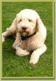 Rico summer 2012