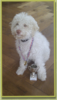 Dorus doerak, Champ!