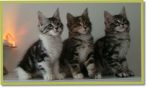 Three babies from Carmen
