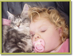 Asana's Jonte Jorell and friend, always together.