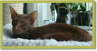 Asana's Sunee, mom of Xanthe