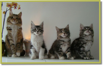 De babies van Carmen met Asana's Awann*Cantate